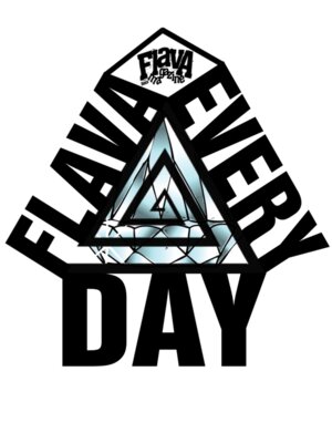 FlavaEveryDay
